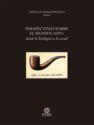 cover image of Perspectivas sobre el significado